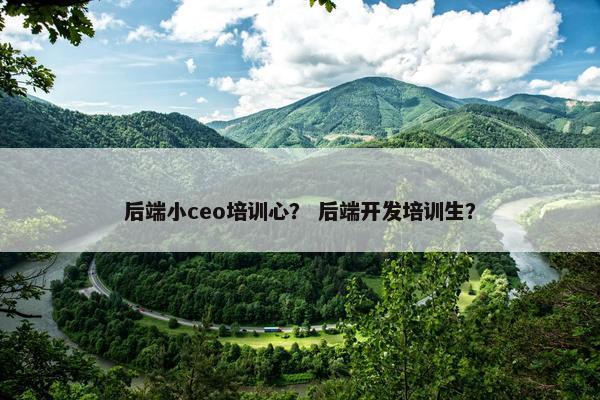 后端小ceo培训心？ 后端开发培训生？