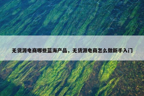 无货源电商哪些蓝海产品，无货源电商怎么做新手入门