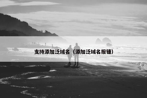 支持添加泛域名（添加泛域名报错）