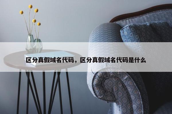 区分真假域名代码，区分真假域名代码是什么