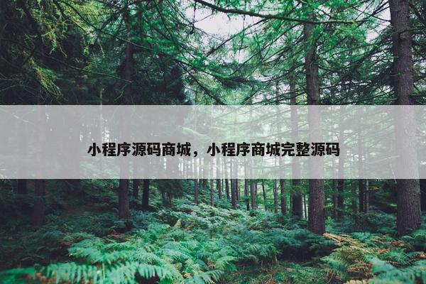 小程序源码商城，小程序商城完整源码