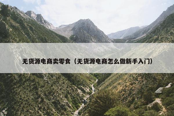 无货源电商卖零食（无货源电商怎么做新手入门）