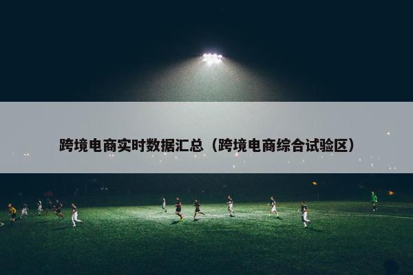 跨境电商实时数据汇总（跨境电商综合试验区）