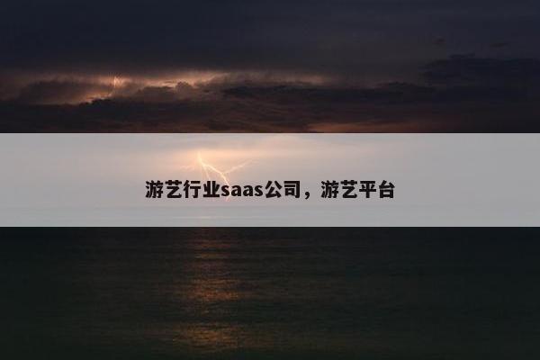 游艺行业saas公司，游艺平台