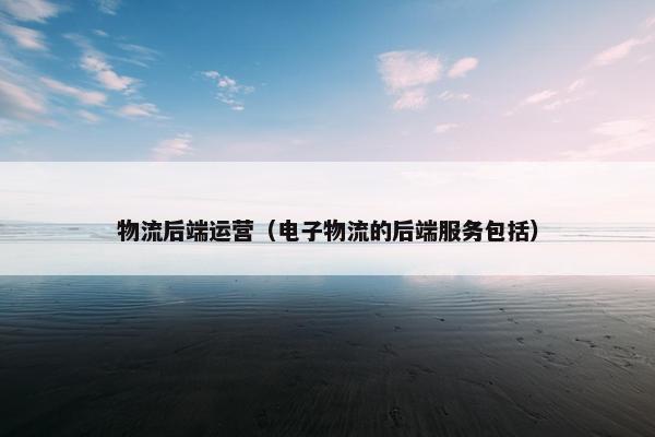 物流后端运营（电子物流的后端服务包括）