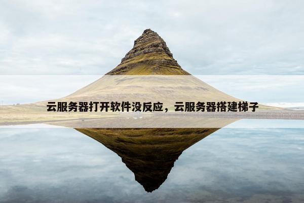 云服务器打开软件没反应，云服务器搭建梯子
