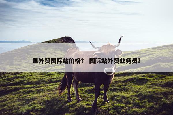 里外贸国际站价格？ 国际站外贸业务员？
