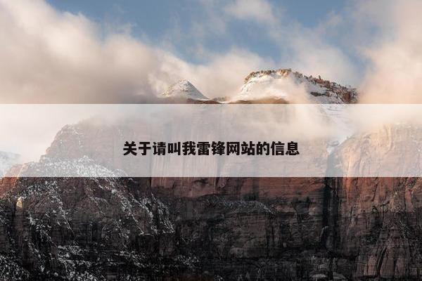 关于请叫我雷锋网站的信息