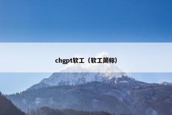 chgpt软工（软工简称）