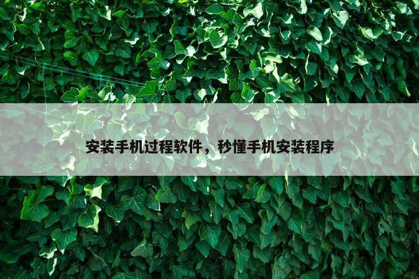 安装手机过程软件，秒懂手机安装程序