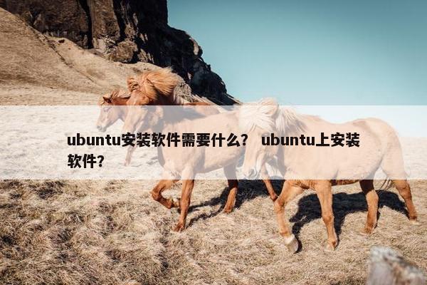 ubuntu安装软件需要什么？ ubuntu上安装软件？