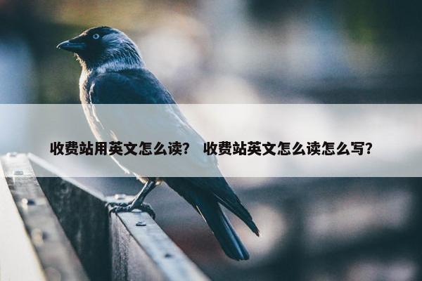 收费站用英文怎么读？ 收费站英文怎么读怎么写？