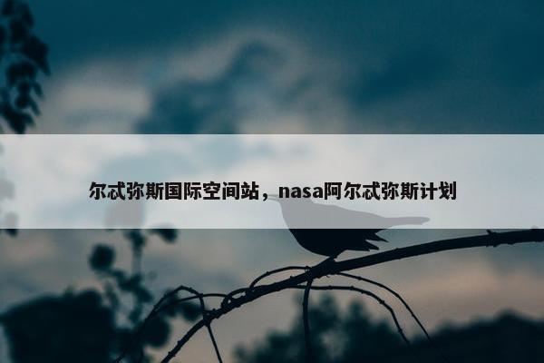 尔忒弥斯国际空间站，nasa阿尔忒弥斯计划