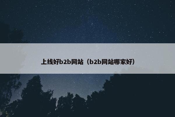 上线好b2b网站（b2b网站哪家好）