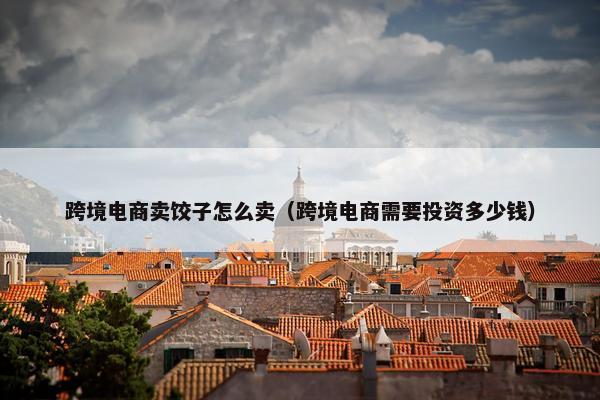 跨境电商卖饺子怎么卖（跨境电商需要投资多少钱）