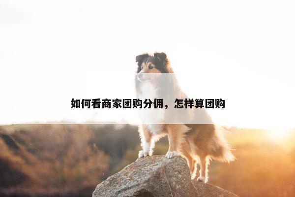 如何看商家团购分佣，怎样算团购