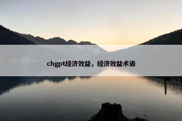 chgpt经济效益，经济效益术语