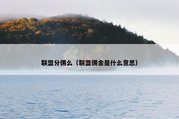 联盟分佣么（联盟佣金是什么意思）