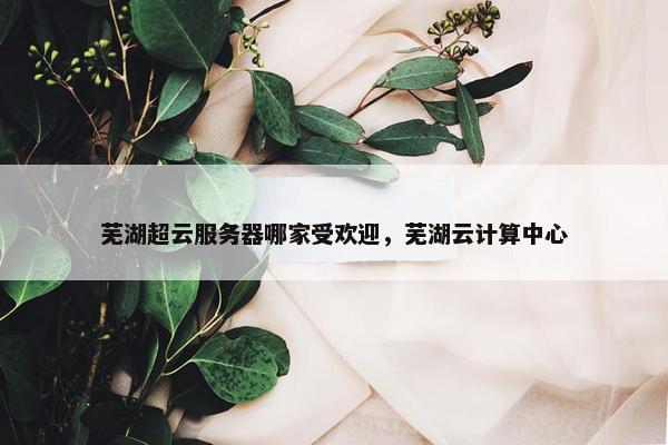 芜湖超云服务器哪家受欢迎，芜湖云计算中心