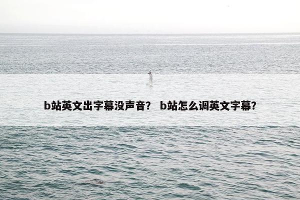 b站英文出字幕没声音？ b站怎么调英文字幕？