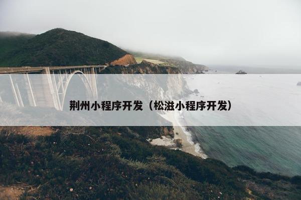 荆州小程序开发（松滋小程序开发）