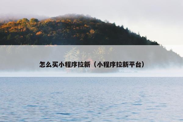 怎么买小程序拉新（小程序拉新平台）