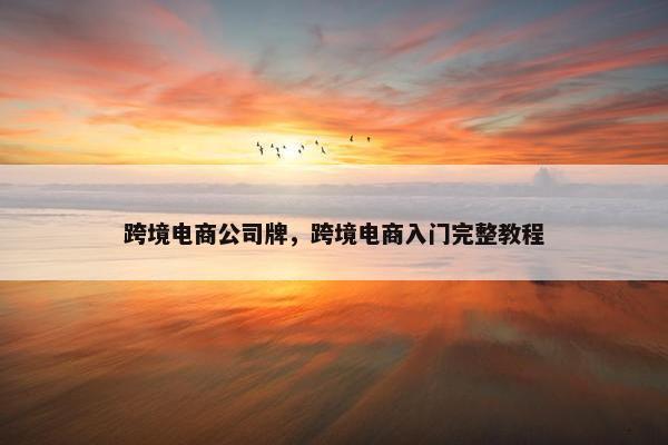 跨境电商公司牌，跨境电商入门完整教程