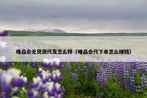 唯品会无货源代发怎么样（唯品会代下单怎么赚钱）