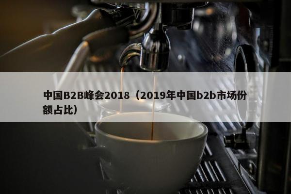 中国B2B峰会2018（2019年中国b2b市场份额占比）