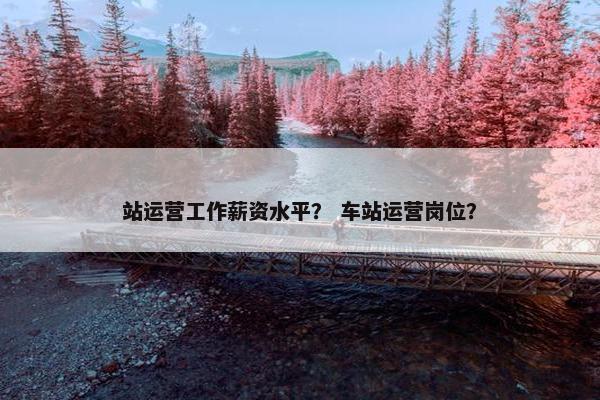 站运营工作薪资水平？ 车站运营岗位？