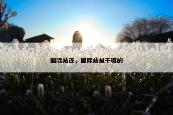 国际站还，国际站是干嘛的