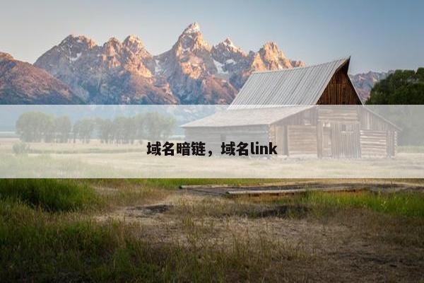 域名暗链，域名link