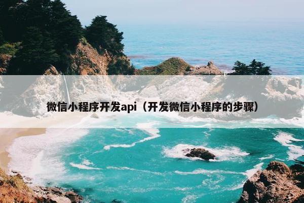 微信小程序开发api（开发微信小程序的步骤）