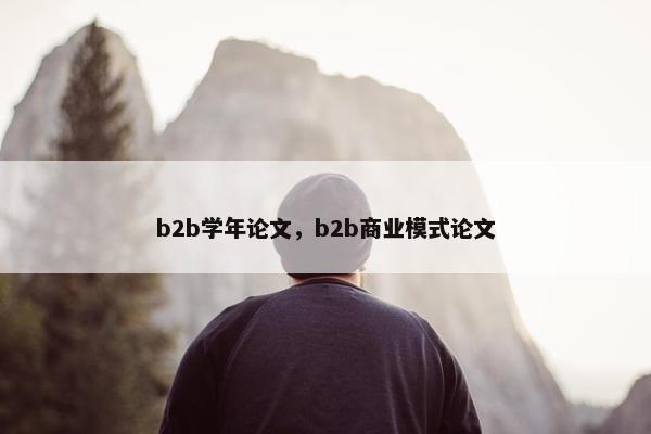 b2b学年论文，b2b商业模式论文