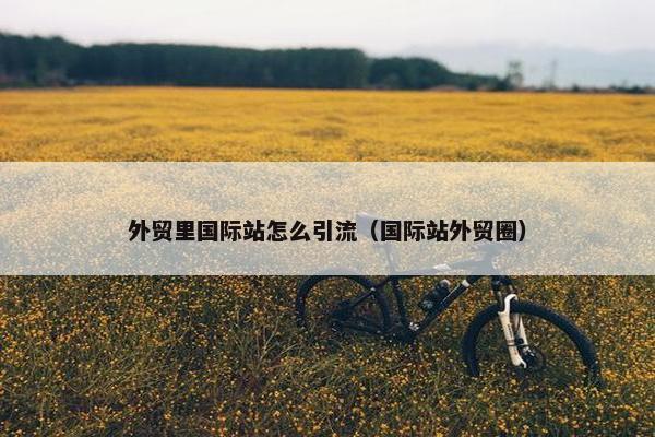 外贸里国际站怎么引流（国际站外贸圈）