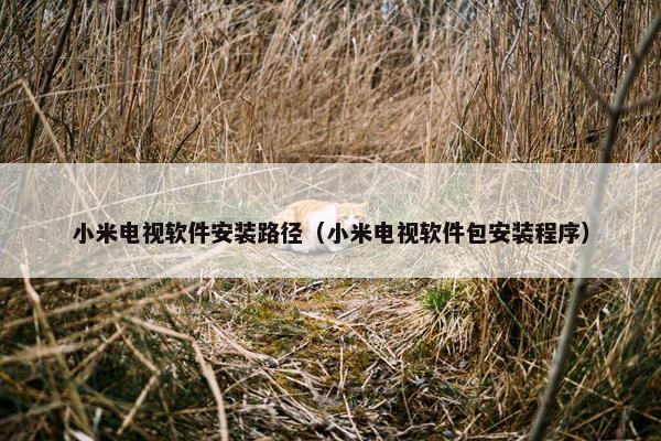 小米电视软件安装路径（小米电视软件包安装程序）