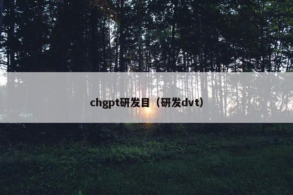 chgpt研发目（研发dvt）