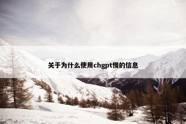 关于为什么使用chgpt慢的信息