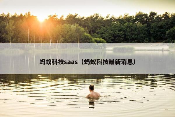 蚂蚁科技saas（蚂蚁科技最新消息）