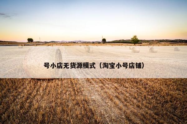 号小店无货源模式（淘宝小号店铺）