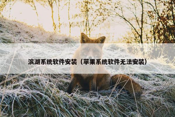 滨湖系统软件安装（苹果系统软件无法安装）