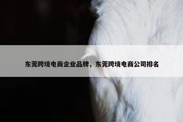 东莞跨境电商企业品牌，东莞跨境电商公司排名