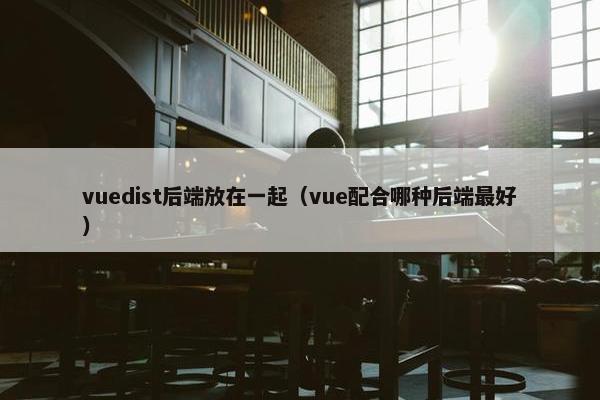 vuedist后端放在一起（vue配合哪种后端最好）