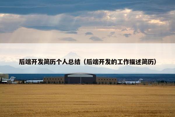 后端开发简历个人总结（后端开发的工作描述简历）