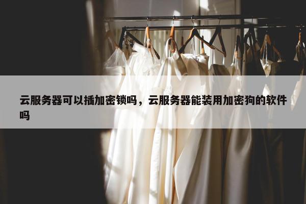 云服务器可以插加密锁吗，云服务器能装用加密狗的软件吗