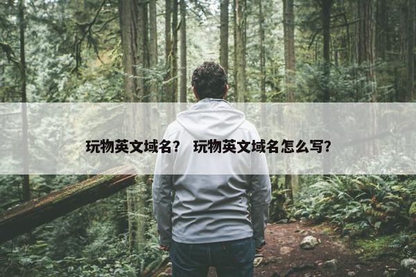 玩物英文域名？ 玩物英文域名怎么写？