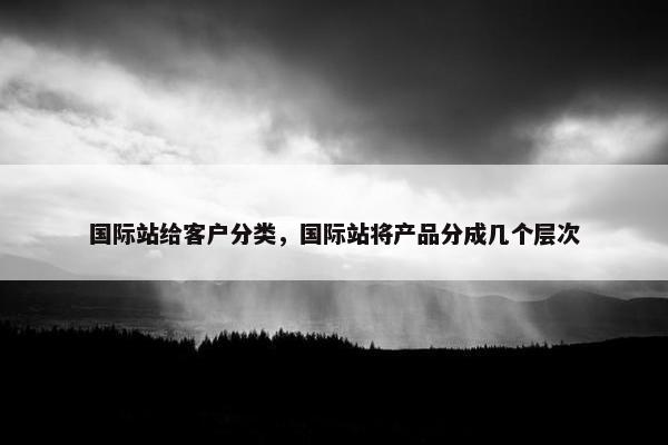 国际站给客户分类，国际站将产品分成几个层次