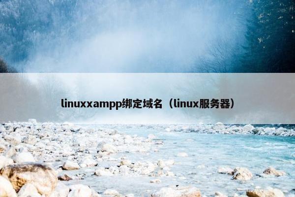 linuxxampp绑定域名（linux服务器）