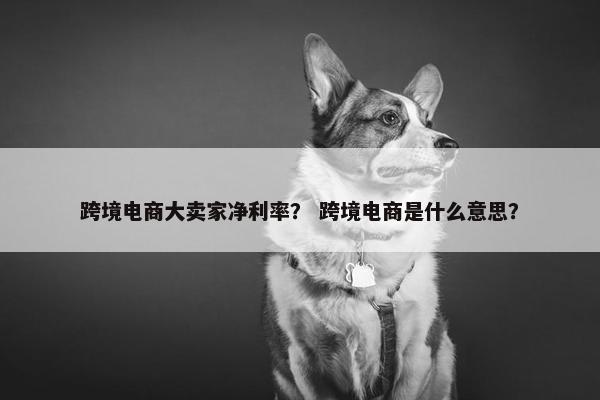 跨境电商大卖家净利率？ 跨境电商是什么意思？