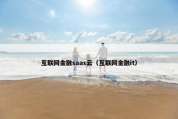 互联网金融saas云（互联网金融it）